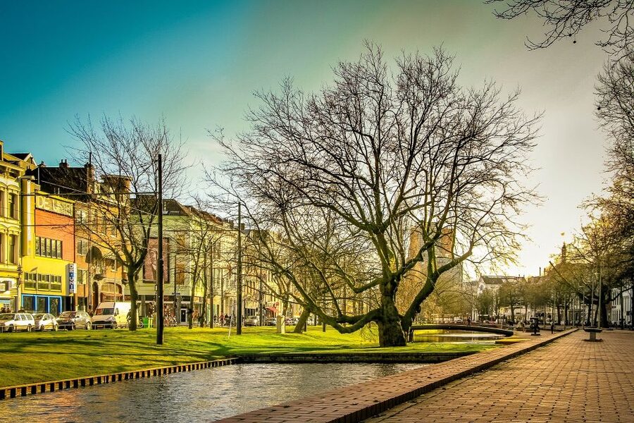 Rotterdam Walking Tour and Harbor Cruise - Who Should Book This Tour (and Who Should Rethink It)