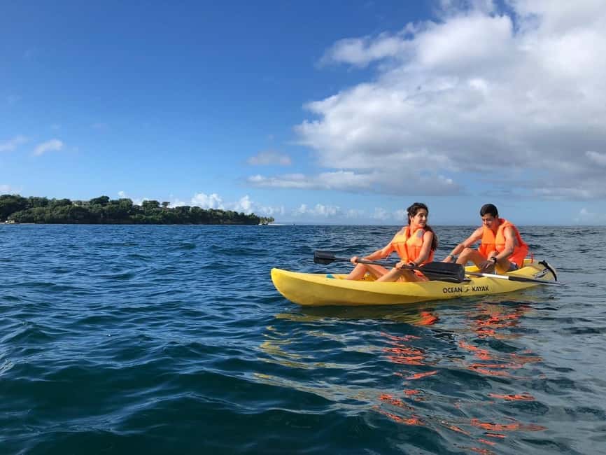 Samaná: Whale, Cayo Levantado, & Kayak in Samaná Bay Tour - Kayaking in Samaná Bay City Waters: Calm Paddling, Beginner-Friendly Setup