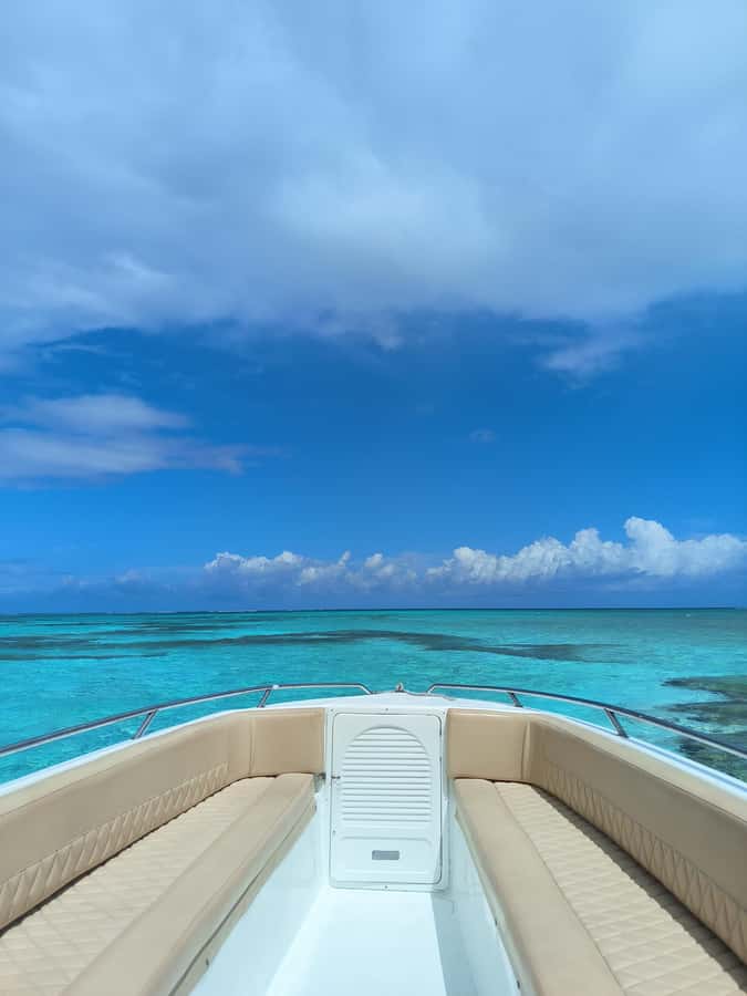 San Andres: Private San Andres Bay Tour by Luxury Speedboat - Old Point Mangroves: Red Mangroves, Birds, and Iguanas