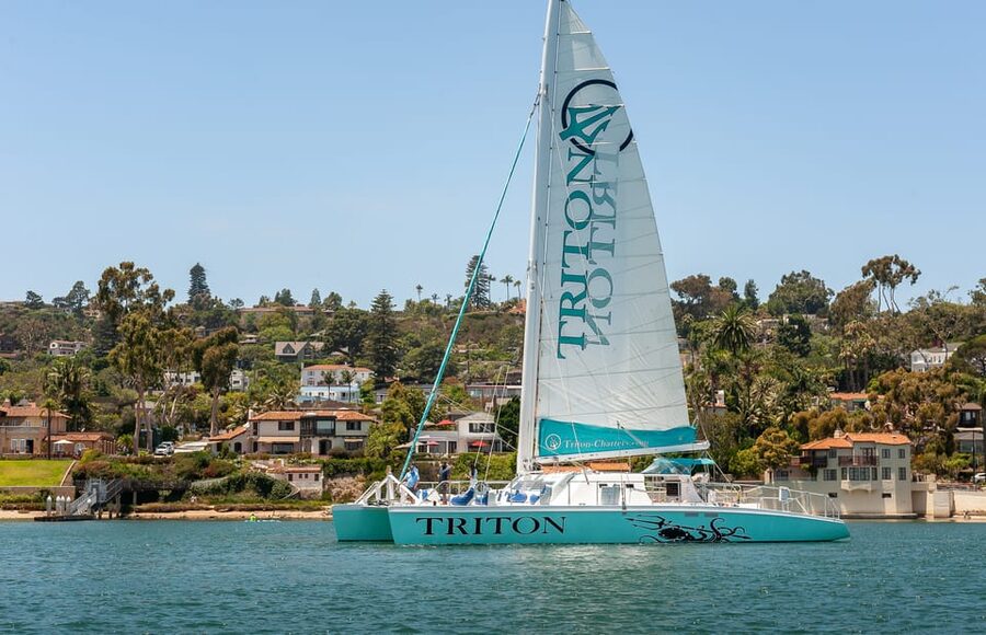 San Diego Harbor Cruise: 2.5 hour Catamaran Cruise - Key things you’ll notice on this Triton Charters cruise