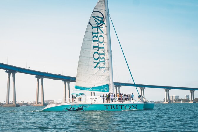 San Diego Harbor Cruise on the largest Catamaran in San Diego! - Coronado Bridge from below: the view that surprises people