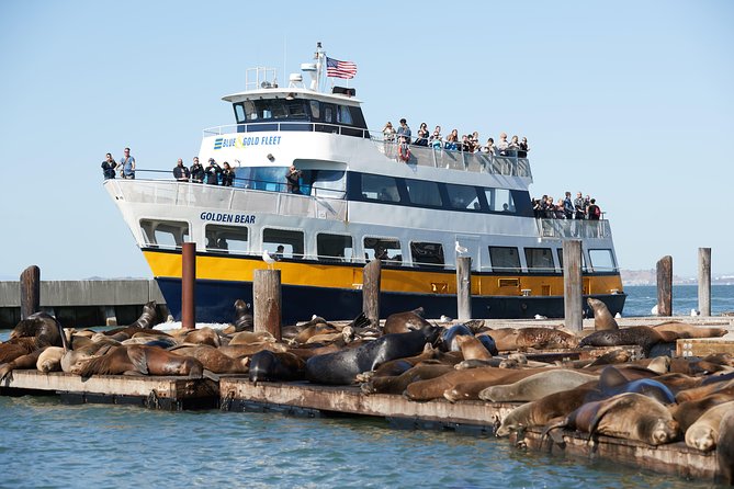 San Francisco Bay Cruise - Food and Drinks on Board: Convenient, Not Included