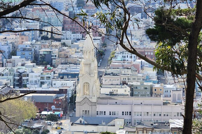 San Francisco Bay Cruise and City Combo Tour - Your guide and the comfort factor on the road