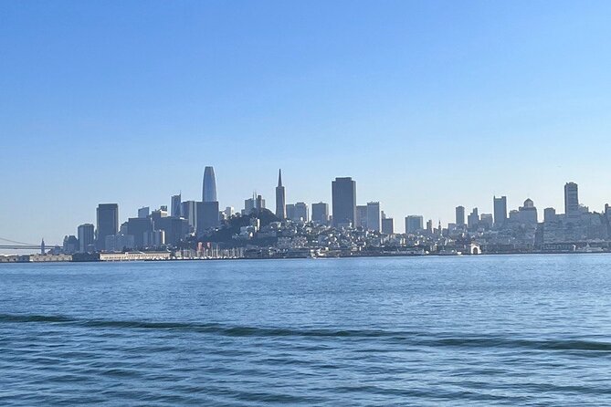 San Francisco Bay Cruise, Muir Woods and Sausalito Combo Tour - Muir Woods National Monument: your 1 hour 20 minutes among coastal redwoods