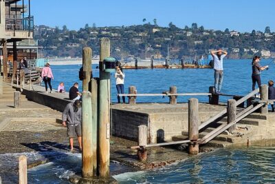 San Francisco Bay Cruise, Muir Woods and Sausalito Combo Tour - Golden Gate Bridge photo stop, plus the Presidio and a 1915 landmark