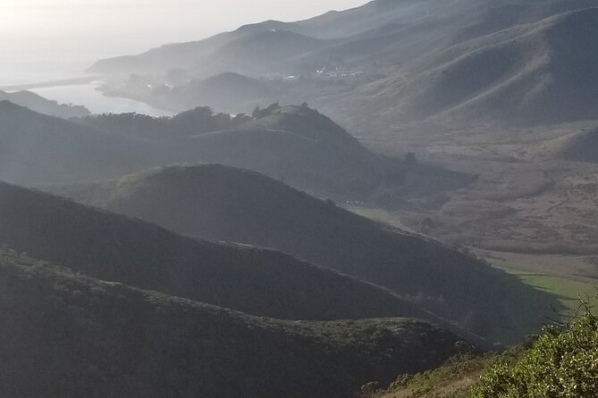 San Francisco Bay Cruise, Muir Woods and Sausalito Combo Tour - Value check: what $134 gets you (and why it can be worth it)
