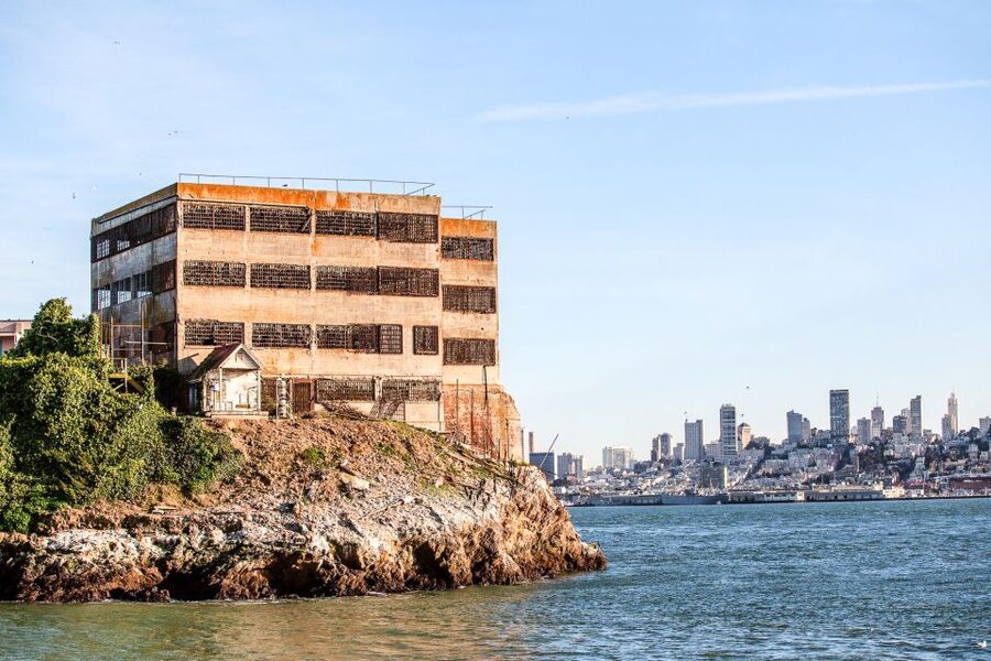 San Francisco: Golden Gate Bay Cruise - Wildlife Spotting: dolphins, sea lions, and pelicans (when the Bay cooperates)