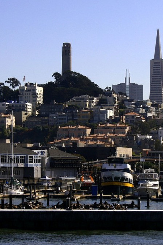 San Francisco: Hop-On Hop-Off City Bus Tour and Bay Cruise - Price and Value: Is $99 Per Person Worth It