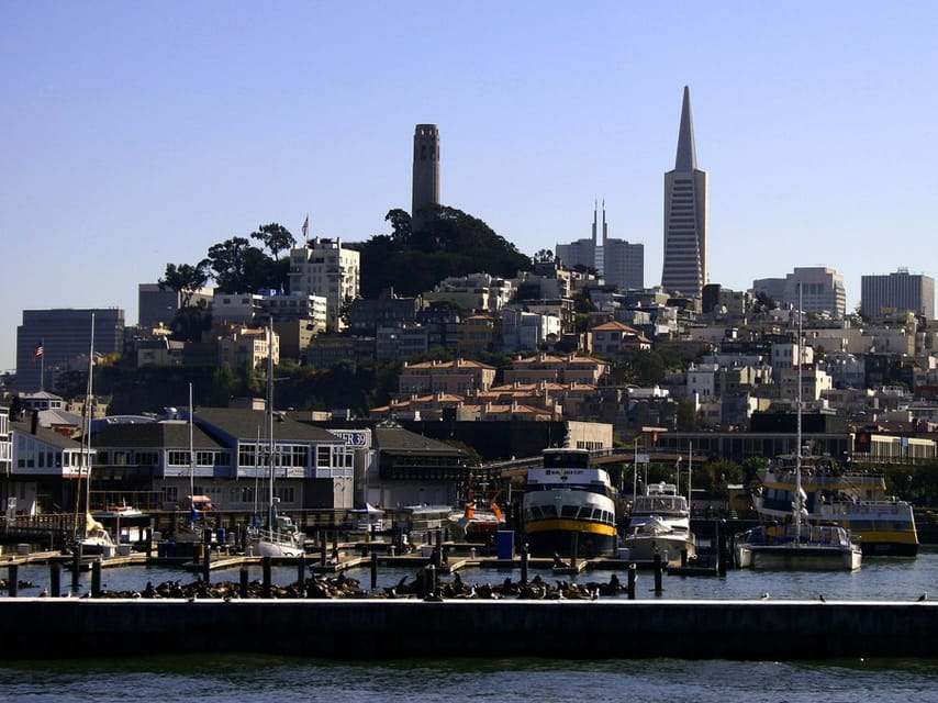 San Francisco: Hop-On Hop-Off City Bus Tour and Bay Cruise - Starting at 99 Jefferson Street: Your First Decision Point