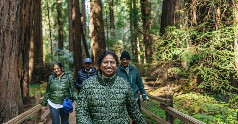 San Francisco: Muir Woods, Sausalito and SF Bay Cruise - Key Things You’ll Notice on This Tour