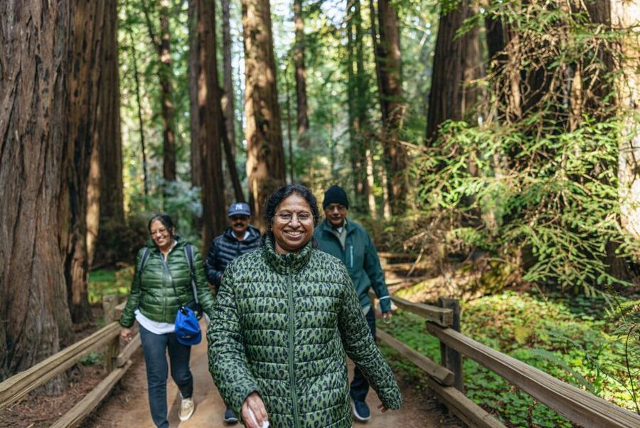 San Francisco: Muir Woods, Sausalito and SF Bay Cruise - Why This Muir Woods + Sausalito + Bay Cruise Route Works