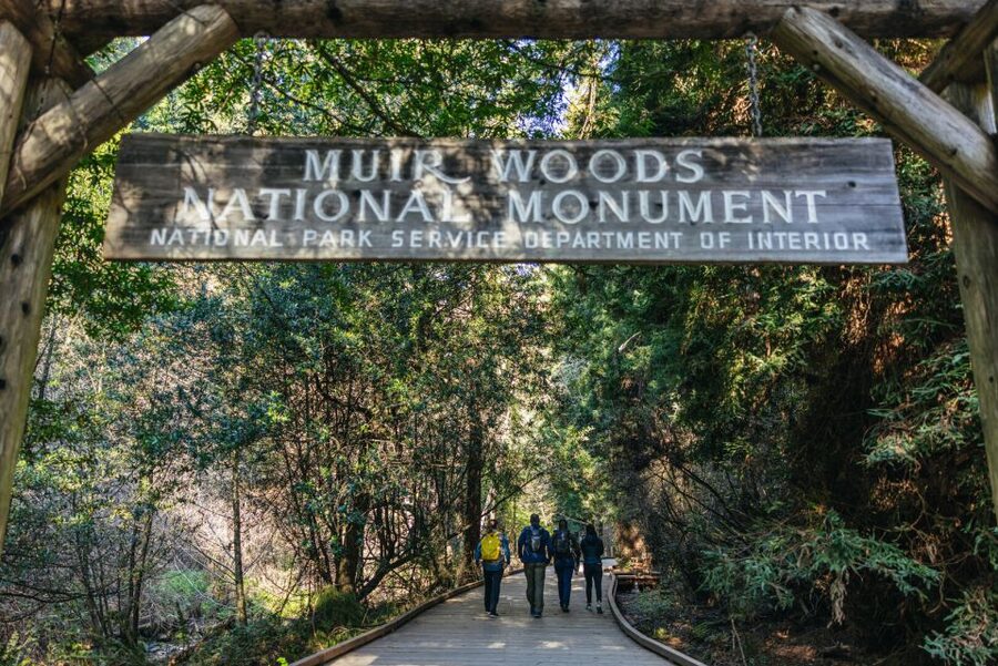 San Francisco: Muir Woods, Sausalito and SF Bay Cruise - What You’re Really Paying For: Value, Included Costs, and Tradeoffs
