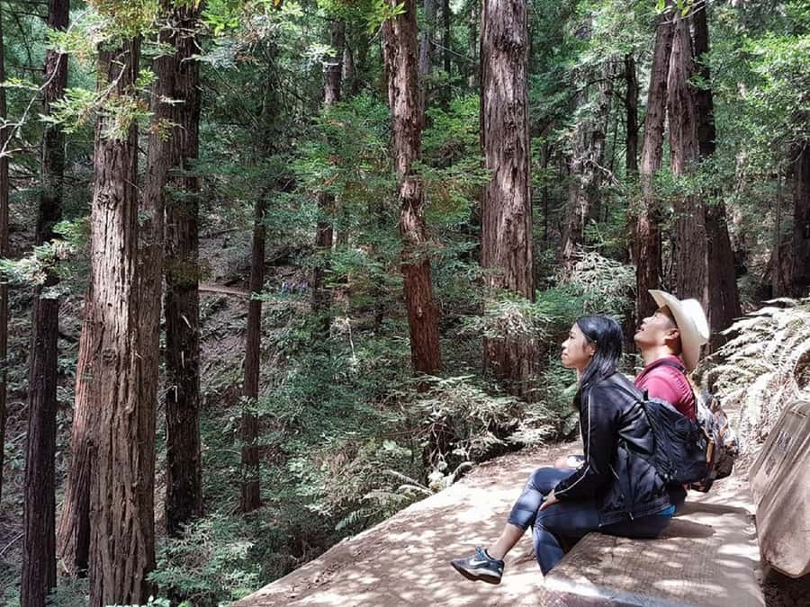 San Francisco: Muir Woods Tour & Golden Gate Bay Cruise - Sausalito on the return drive: a scenic break with real choices