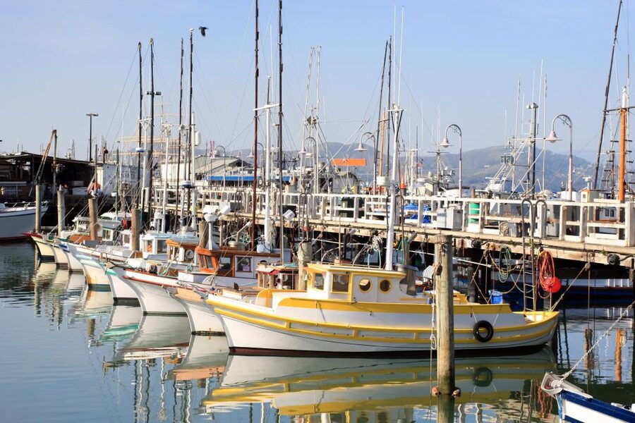 San Francisco Ultimate City Tour with Bay Cruise Option - Twin Peaks Panoramas (Weather Permitting) and the Hilltop Angle