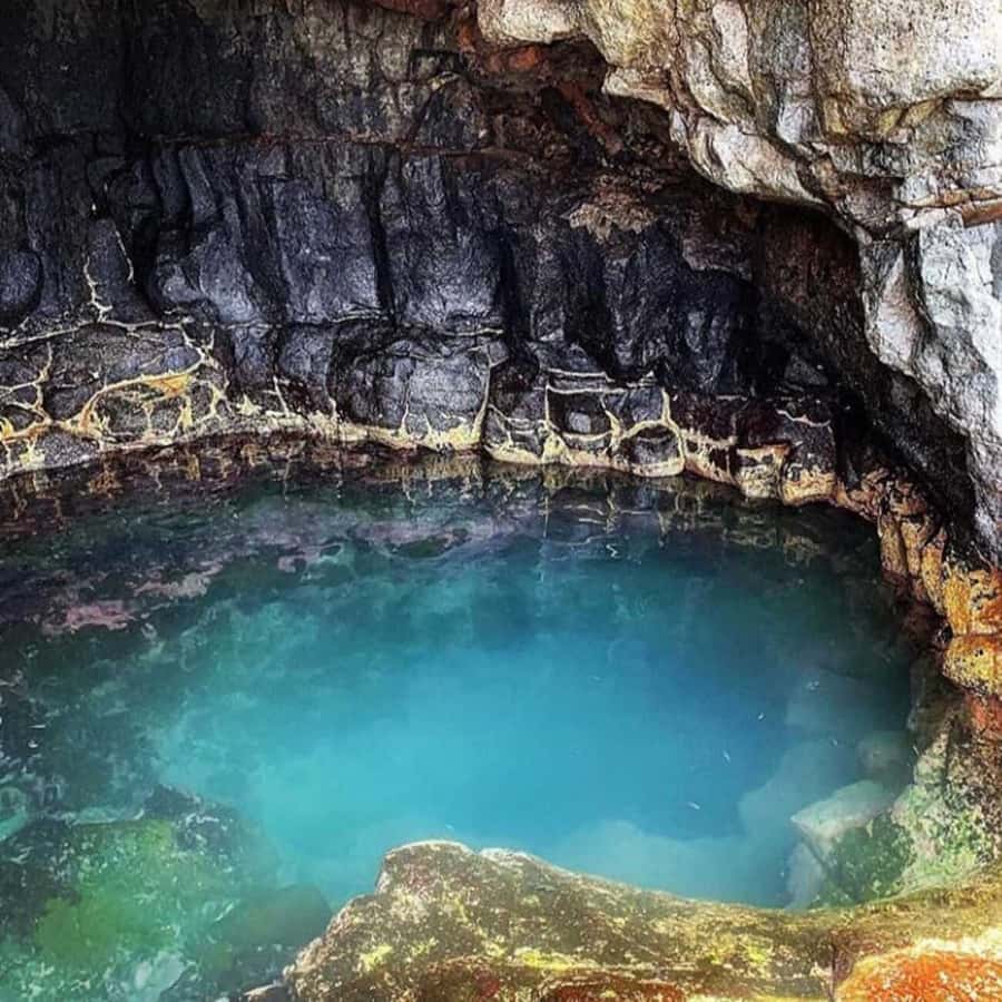 Santa Maria: Salt Mine, Natural Pool, and Shark Bay Tour - Lemon Sharks Bay: Shallow-Water Watching You Can Feel