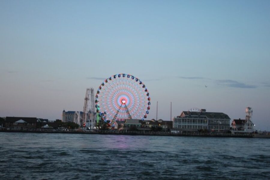 Sea Rocket Sunset & OC Harbor Cruise in Ocean City, MD - Dolphins: What you can expect (and how to maximize your odds)
