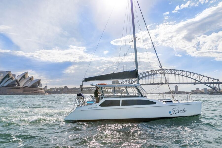 Sydney: Bring Your Own Drinks Vivid Harbour Cruise - Who should book this cruise, and who should skip it
