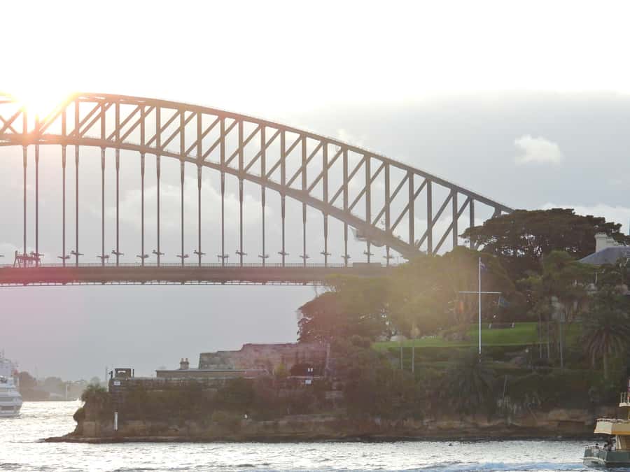 Sydney: Harbour Cruise with Buffet Lunch - The Price Reality: Why $53 Can Feel Fair