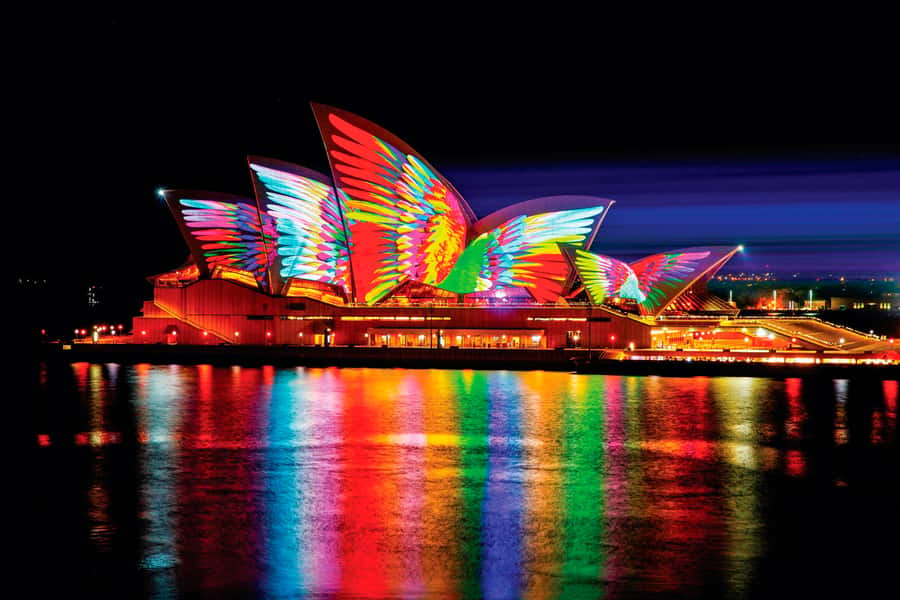 Sydney: Intimate Vivid Harbour Cruise with Canapes - Why this Vivid Harbour cruise feels calmer
