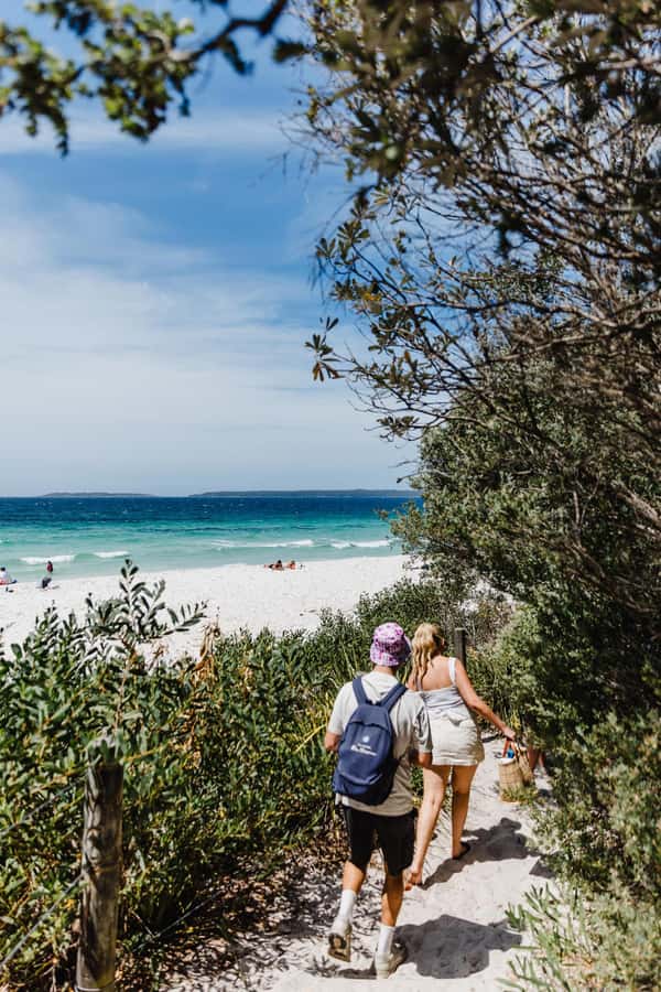Sydney: Jervis Bay Tour with Beaches, Koalas & Kangaroos - Who this tour is best for (and who should skip it)