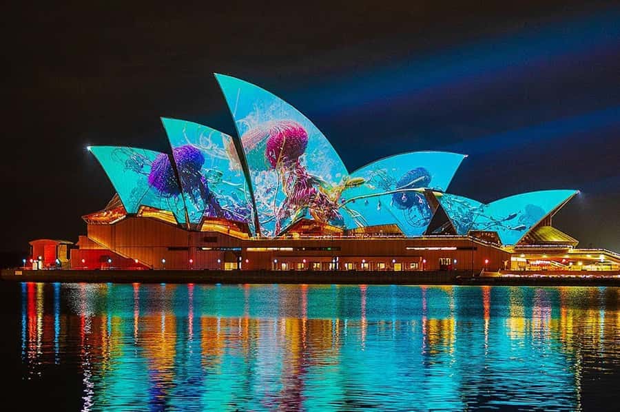 Sydney: Vivid Harbour Cruise with Canapes - Key Things to Know Before You Go