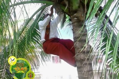 The AMAZING Montego Bay Tour - Pickup and getting around: less waiting, more doing