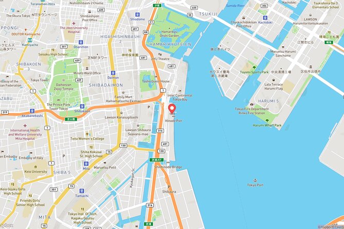 Tokyo Bay Cruise Adventure with options - Who this Tokyo Bay cruise is best for