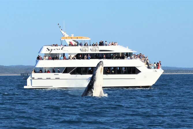 Twilight Bay Cruise in Hervey Bay - Who This Cruise Fits Best (And Who Might Want Something Else)
