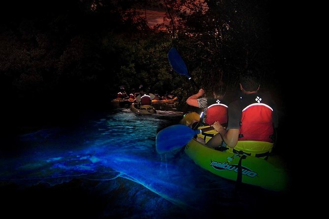 Two-in-One Day Trip: El Yunque and Bio Bay Tour with Transport - Quick hits before you go