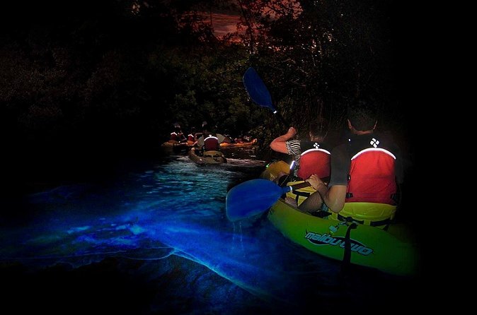 Two-in-One Day Trip: El Yunque and Bio Bay Tour with Transport - Guides and safety gear: what the training really buys you