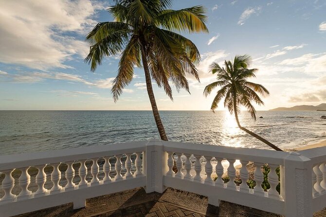 Vieques Bio Bay Tour and Beach Day Trip from San Juan by Ferry - Mosquito Bay by Clear-Bottom Kayak: The Main Event