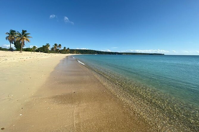 Vieques Bio Bay Tour and Beach Day Trip from San Juan by Ferry - Logistics Reality Check: The Long Day Trade-Off
