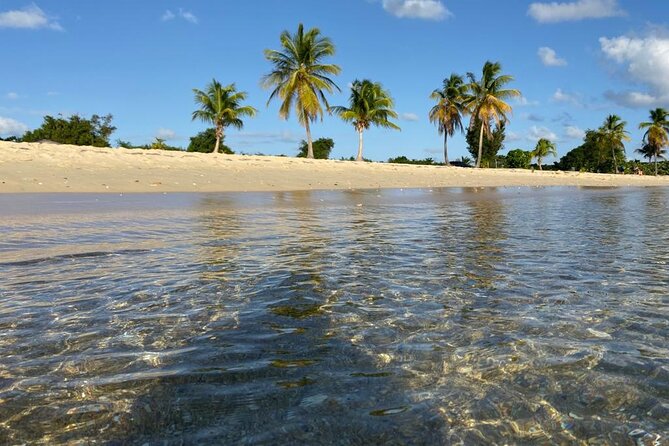 Vieques Bio Bay Tour and Beach Day Trip from San Juan by Ferry - The Ferry Day: Ceiba Timing and Why It Matters