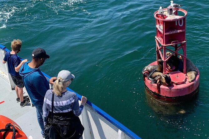 West Harbor LA 45-Minute Narrated Harbor Cruise of San Pedro - The route in plain English: what you see and why it matters