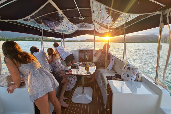 Whisper Cruises - One-Hour Turtle Spotting Bay Cruise - What you’re actually looking for: loggerheads, green turtles, and bonus wildlife