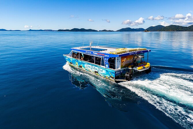 Whisper Cruises - One-Hour Turtle Spotting Bay Cruise - Price and value: is $49.49 worth it for a one-hour cruise?
