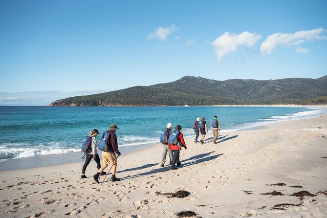 Wineglass Bay Cruise from Coles Bay - Wineglass Bay Itself: When the Boat Gets Close to the Beach