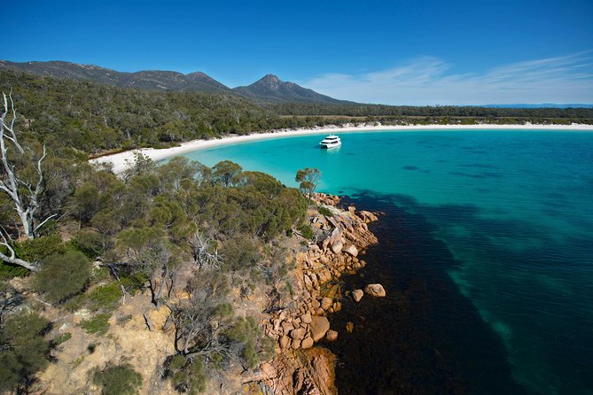 Wineglass Bay Cruise from Coles Bay - Lunch Options: Packed Fresh Food and When It’s Worth Upgrading