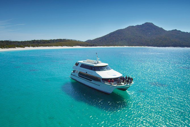 Wineglass Bay Cruise from Coles Bay - Meeting at the Jetty: What to Expect Before You Cast Off
